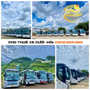  Cho thuê xe cưới hỏi uy tín tại TP.HCM